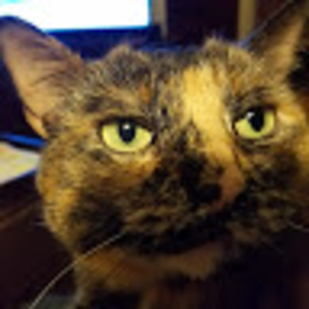 Meet your Posher, Layna